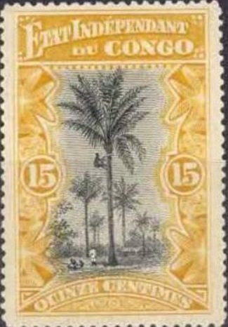 Palm Trees