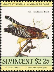 Stamp, Red-shouldered Hawk (Buteo lineatus) , Saint Vincent and The Grenadines,  , Birds, Animals (Fauna)