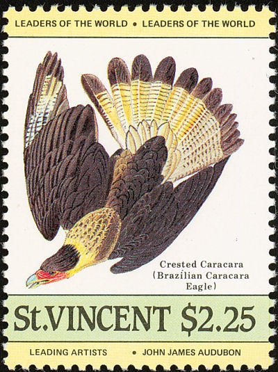 Southern Crested Caracara (Polyborus plancus)