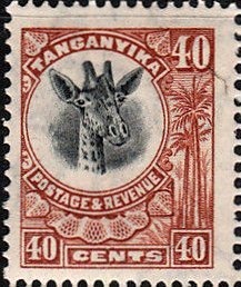 Giraffe (Giraffa camelopardalis)