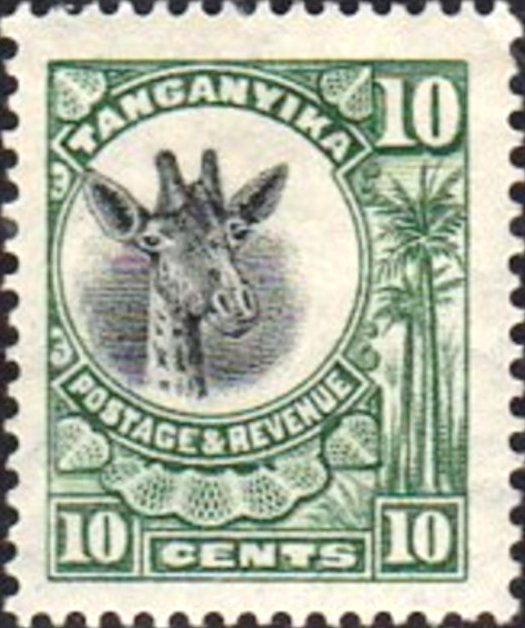 Giraffe (Giraffa camelopardalis)