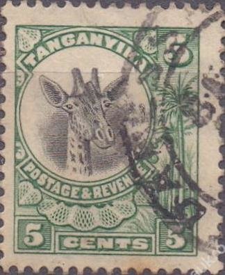 Giraffe (Giraffa camelopardalis)