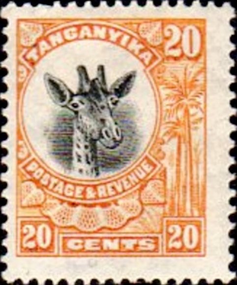 Giraffe (Giraffa camelopardalis)