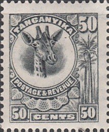Giraffe (Giraffa camelopardalis)