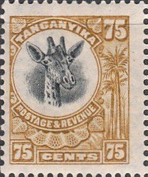 Giraffe (Giraffa camelopardalis)