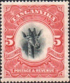 Stamp, Giraffe (Giraffa camelopardalis), Tanganyika,  , Giraffes