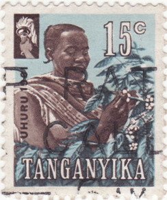 Coffee Picker