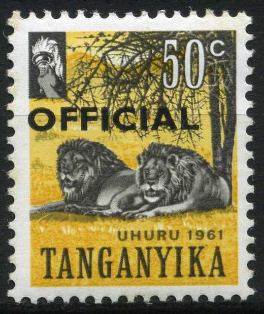 Lion (Panthera leo)