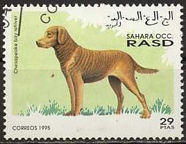 Dogs