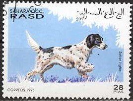 Dogs