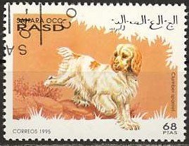 Dogs