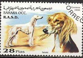 Dogs