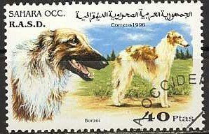 Dogs