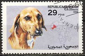 Dogs