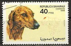 Dogs