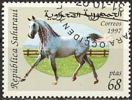 Horses
