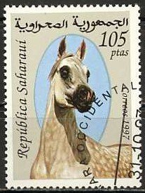 Horses