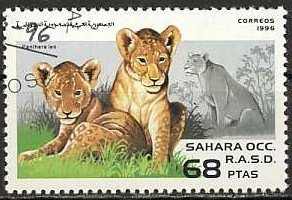 Stamp, Lion (Panthera leo), Western Sahara - Vignettes,  , Mammals, Cats, Animals (Fauna)