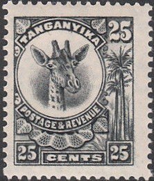 Giraffe (Giraffa camelopardalis)