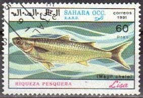Stamp, Magif chelo, Western Sahara - Vignettes,  , Fishes