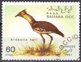 Ardeotis kori