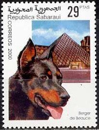 Dogs