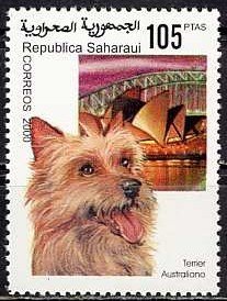 Dogs