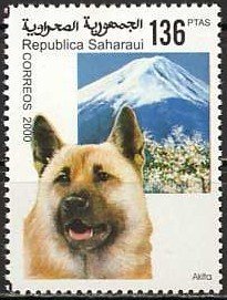 Dogs