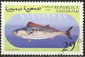 Fishes