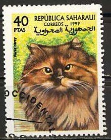 Cats