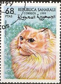 Cats
