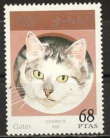 Cats