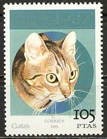 Cats