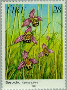 Stamp, Bee Orchid - Ophrys apifera, Ireland,  , Flowers, Orchids, Plants (Flora)