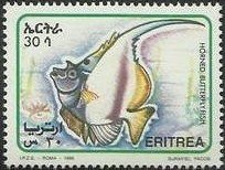Horned butterflyfish