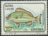 Bluestripe snapper