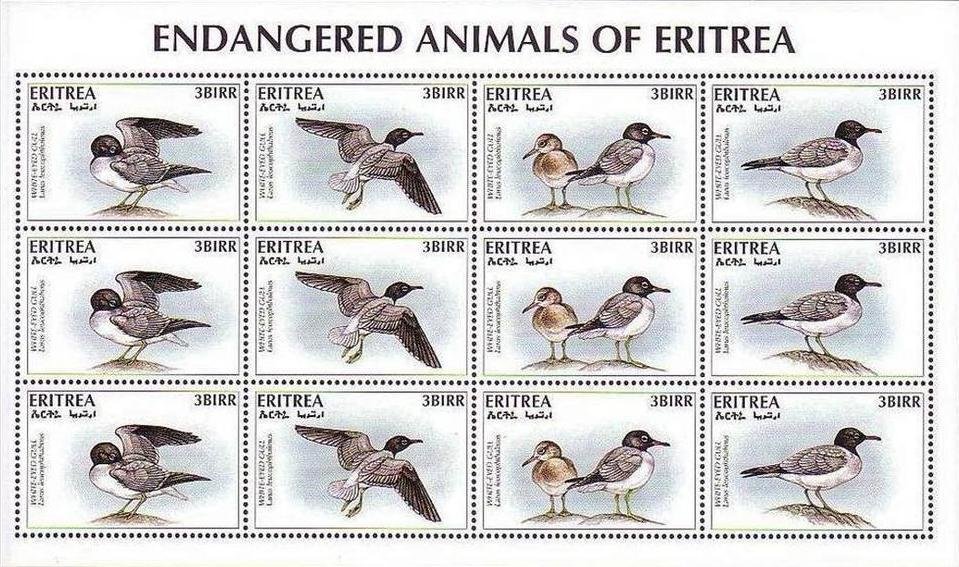 Seabirds Minisheet with 3 Sets