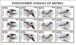 Mini Sheet, Seabirds Minisheet with 3 Sets, Eritrea,  , Birds, Gulls, Animals (Fauna)