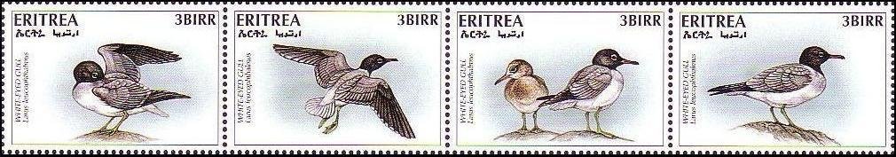 Seabirds strip of 4