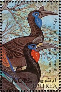 Stamp, Abyssinian Ground Hornbill (Bucorvus abyssinicus) , Eritrea,  , Birds, Animals (Fauna)