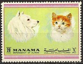 Cat (Felis silvestris catus), Dog (Canis lupus familiaris)