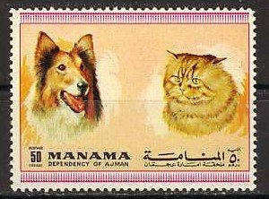 Collie (Canis lupus familiaris), Cat (Felis silvestris catus