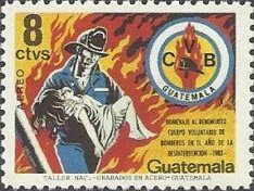 Volunteer Fireman
