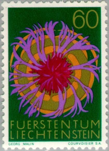 Centaurea scabiosa