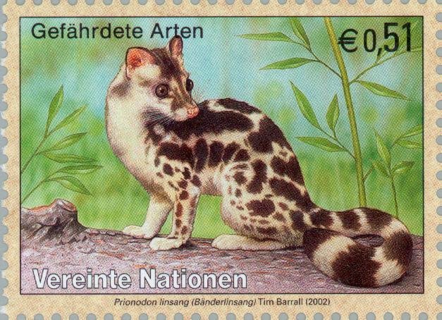 Banded Linsang (Prionodon linsang)