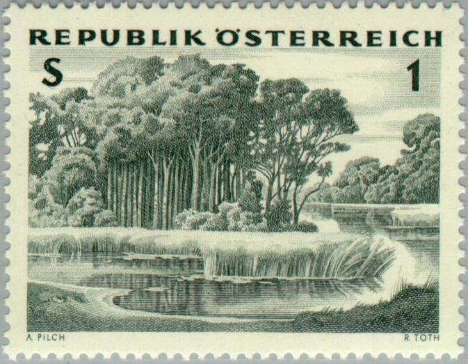 Alluvial forest