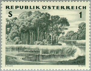 Stamp, Alluvial forest, Austria,  , Landscapes, Trees, Forests, Plants (Flora)