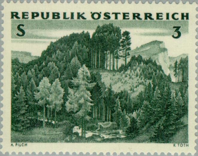Spruce & larch forest