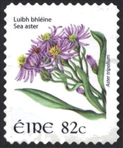 Stamp, Sea Aster - Aster tripolium, Ireland,  , Flowers, Plants (Flora)