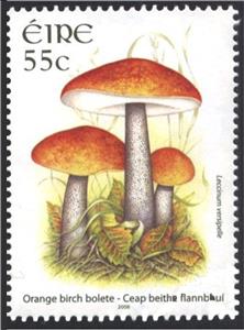 Stamp, Orange Birch Bolete - Leccinum versipelle, Ireland,  , Mushrooms